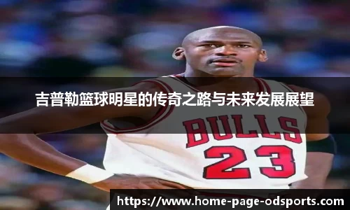 OD体育官方网站