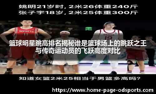 篮球明星跳高排名揭秘谁是篮球场上的跳跃之王与传奇运动员的飞跃高度对比